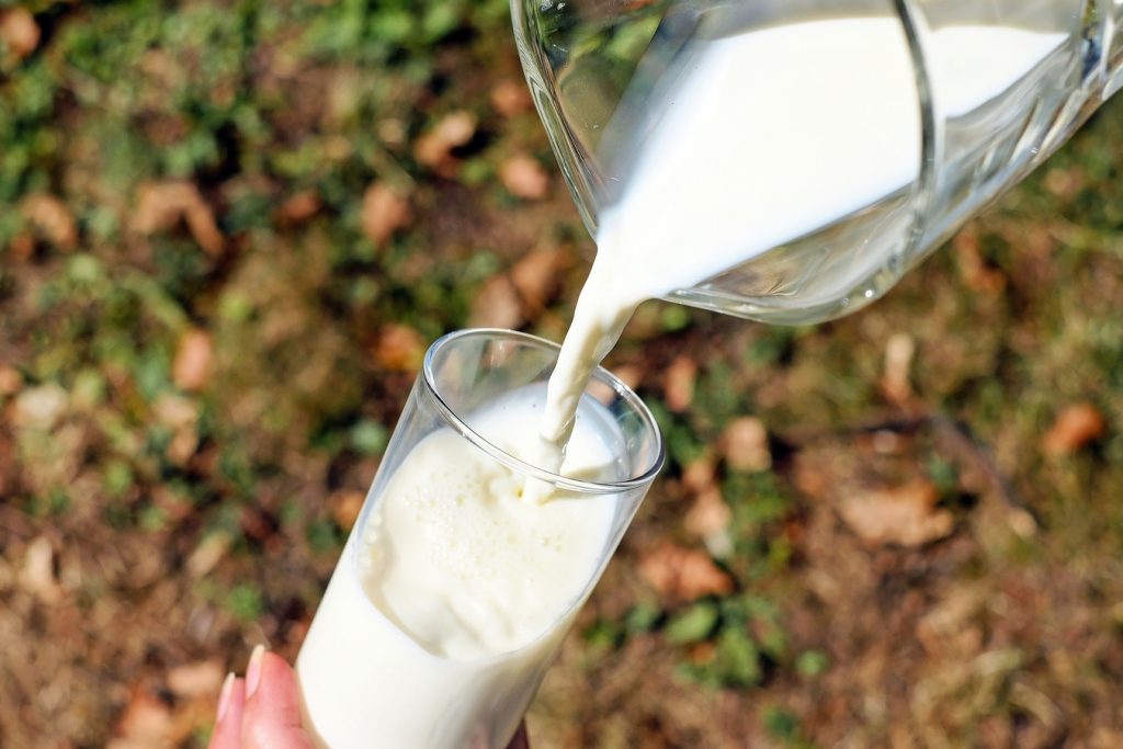 Komjölk, förbjuden i Seignalets diet