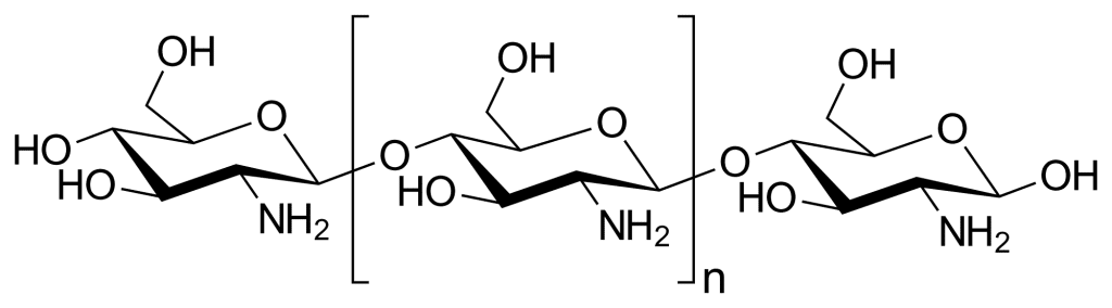 Kemisk formel för Chitosan