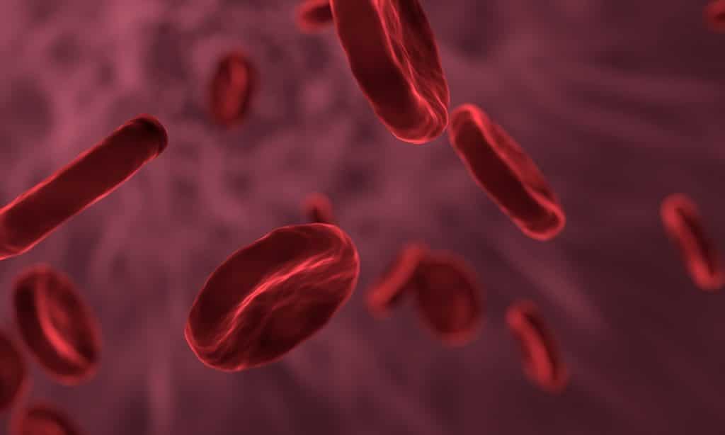 Blod celler