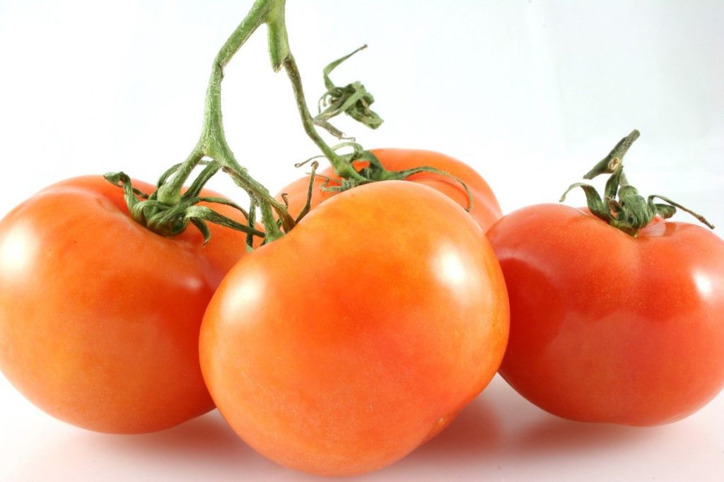 tomat frukt
