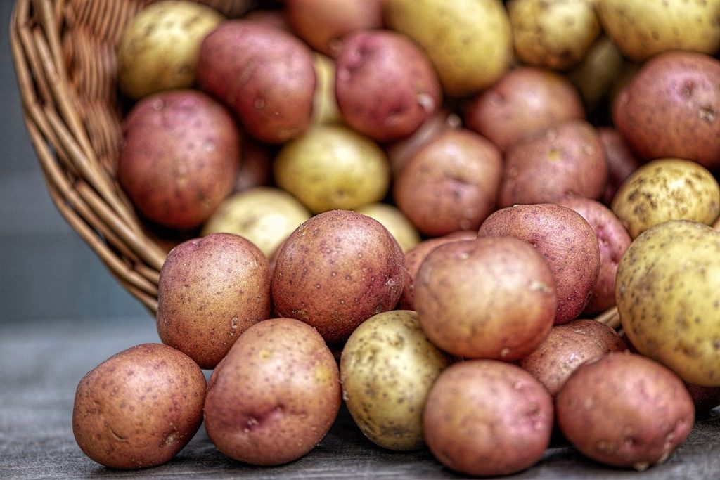 potatis är stärkelsehaltig mat