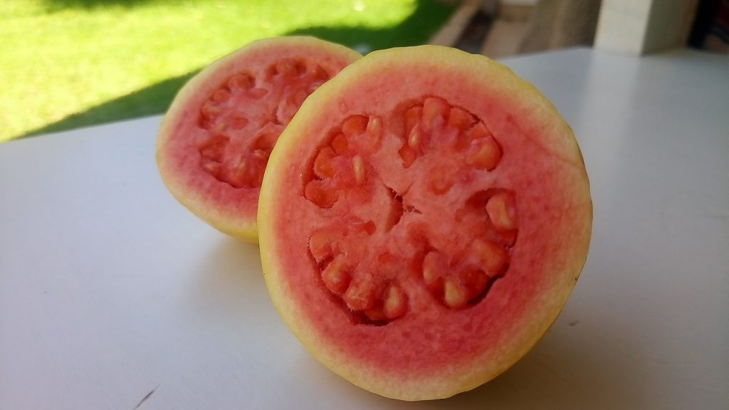 guava halverad 