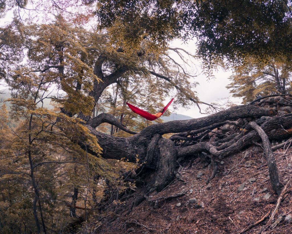 man ligger i en hängmatta för att koppla av mitt i skogen på hösten